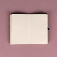 Alphonse Mucha Notitieboek A5 Primrose - thumbnail