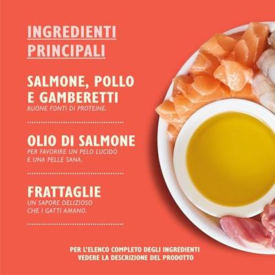 Lily&apos;s Kitchen Paté zalm met kip en garnalen natvoer kat 1 tray (19 x 85 g) - thumbnail