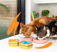 Edgard & Cooper kip paté kat natvoer kuipjes 16 x 85gr - thumbnail