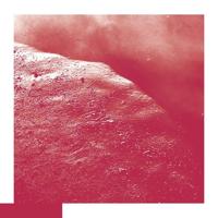 The Cell - LP (4050486115756) - thumbnail