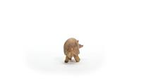 Schleich wild life armadillo gordeldier 14874 - thumbnail