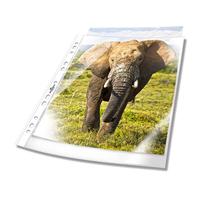 Durable Showtassen 2668 DIN A4 Polypropyleen 0.06 mm Glas (helder) 266819 100 stuk(s) - thumbnail