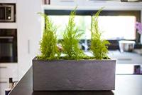 Balkonplantenbak - EDA - Volcania Up - 25 L - Binnen/Buiten - Steenlook - 59 x 19,5 x 22,8 cm - Antracietgrijs - thumbnail