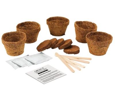 Gift Republic Cactus Planten