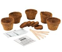 Gift Republic Cactus Planten - thumbnail