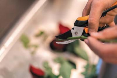 Fiskars Solid Snip Bloemenschaar - thumbnail