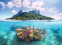 Ravensburger - eiland en koraalwereld - legpuzzel - 500 stukjes - thumbnail