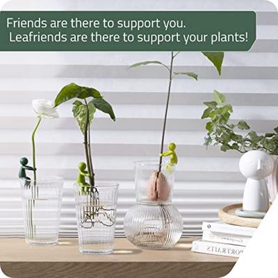 Leafriend stekjeshouder (set van 3)