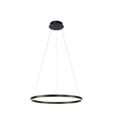 Paul Neuhaus Led hanglampRitus Ø 60cm - 15394-13