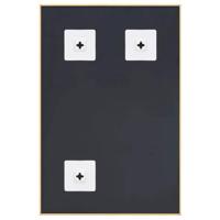 VidaXL Spiegel 60x40 cm goudkleurig - thumbnail