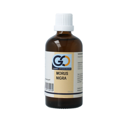 GO Morus nigra bio 100 Milliliter
