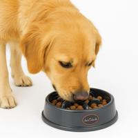 Jack-and-Vanilla Anti schrok hondenvoerbak - Rond - XL - Grijs - thumbnail