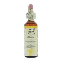 Bach Flower Remedies Loodkruid 05 - thumbnail