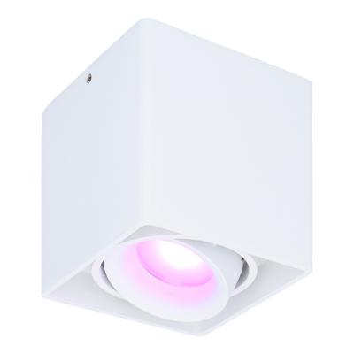 Esto smart Opbouwspot - Vierkant - Plafondspot - Kantelbaar - RGBWW - Wifi + Bluetooth - Google Home, Amazon Alexa en Siri - Wit - Bestuurbaar via App en Stem Esto smart Opbouwspot - Vierkant - Plafondspot - Kantelbaar - RGBWW - Wifi + Bluetooth - Google Home, Amazon Alexa en Siri - Wit - Bestuurbaar via App en Stem