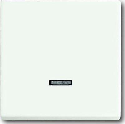 Busch-Jaeger bedieningselement 6543-884-101 studiowit mat