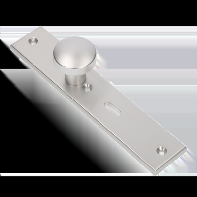 AMI Knop 169/50 Vast Langschild 251/50/8 Sl 56 R6,5 F1 - 323962 AMI Knop 169/50 Vast Langschild 251/50/8 Sl 56 R6,5 F1 - 323962