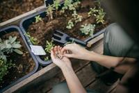 Fiskars solid™ plantvork - 1072102 - thumbnail