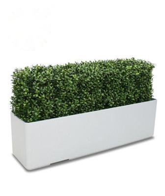 Buxus deluxe kunstheg 80x27cm - UV bestendig