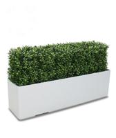 Buxus deluxe kunstheg 80x27cm - UV bestendig - thumbnail