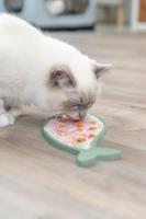 Trixie Lick'n&apos;Snack Mat kat - thumbnail
