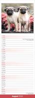 Pug Slim Calendar 2026 Dog Breed Slimline Calendar - 12 Month - thumbnail