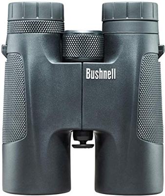 Bushnell Powerview 10x42