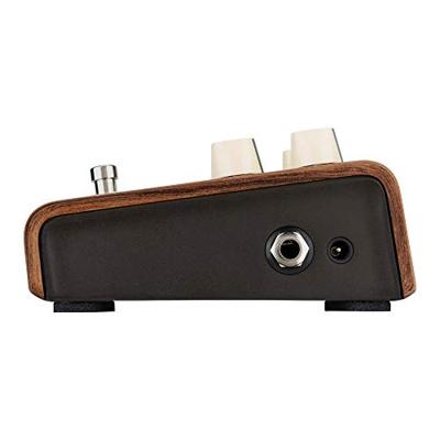 LR Baggs Align Series Reverb