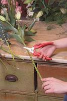 Felco 310 310 Oogstschaar 185 mm Bypass - thumbnail