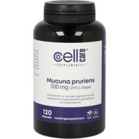 Mucuna pruriens 500mg (25% L-dopa) 120 Capsules - thumbnail