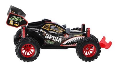 Radiografisch Bestuurbare Buggy 1:16 2.4g