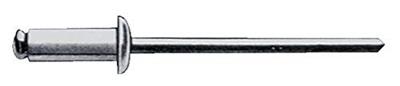 Gesipa Blindklinknagel | klinknagelschacht d x l 3 x 6 mm | staal / staal | 500 stuks - 1433551 1433551 Gesipa Blindklinknagel | klinknagelschacht d x l 3 x 6 mm | staal / staal | 500 stuks - 1433551 1433551