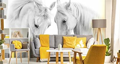 Fotobehang - Twee Schimmels, Paarden, zwart/wit, premium print, inclusief behanglijm