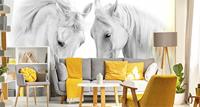 Fotobehang - Twee Schimmels, Paarden, zwart/wit, premium print, inclusief behanglijm - thumbnail