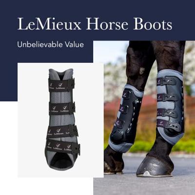 LeMieux ProSport Ultra Support Boots zwart maat:xl