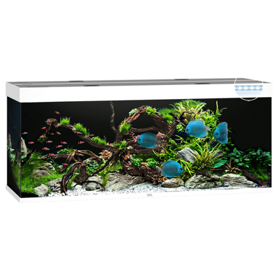 Juwel aquarium Rio 450 LED met filter zwart Juwel Gebr. de Boon - Gebr de boon