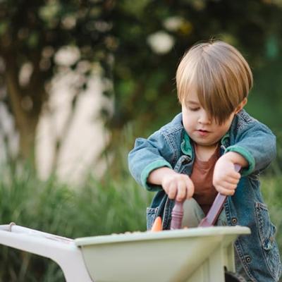 Dantoy kruiwagen tuinierset, 4dlg.