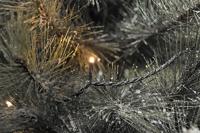 Konstsmide 3640-810 Micro-lichtketting Buiten Energielabel: G (A - G) werkt op het lichtnet Aantal lampen 120 LED Barnsteen Verlichte lengte: 9.52 m - thumbnail