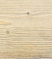 Festool Accessoires Rustilonborstels LD 85 - 411549 - thumbnail