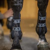 Veredus Olympus Absolute Peesbeschermers zwart maat:l - thumbnail