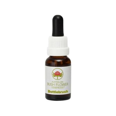Australian Bush Bottlebrush 15 Milliliter Australian Bush Bottlebrush 15 Milliliter