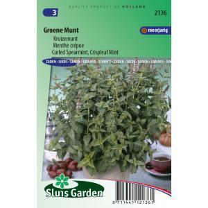 Groene Munt zaden Kruizemunt