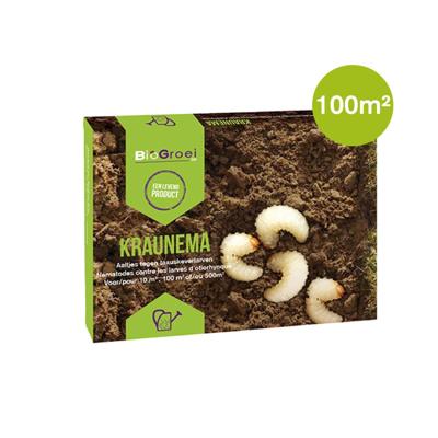 Aaltjes tegen taxuskever 100 m² | KRAUNEMA