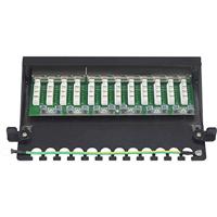 Renkforce 12 poorten Netwerkpatchbox CAT 6A 1 HE Ingericht - thumbnail