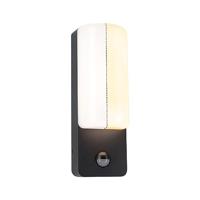 Paulmann Bonnie PIR Insect 94853 LED-buitenlamp (wand) LED 8.5 W Antraciet - thumbnail