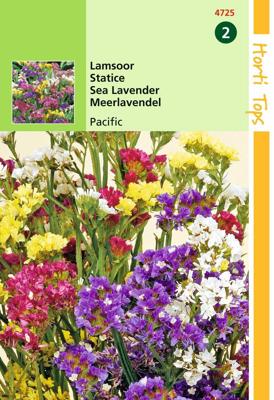 Zaden Statice Lamsoor Pacific gemengd Hortitops - Hortitops