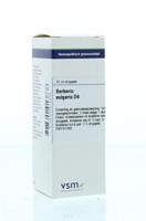 VSM Berberis vulgaris D4 20 Milliliter - thumbnail