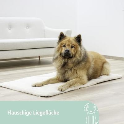 Kerbl Pet Kerbl Theo bedkussen, 75 x 50 x 3 cm, Beige