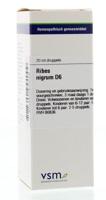 VSM Ribes nigrum D6 20 Milliliter - thumbnail