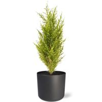 Conifeer kunstboeket 56 cm (geel-groen) - thumbnail