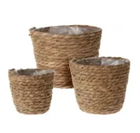 BLOEMPOT CATTAIL LEAVE SET3 - thumbnail